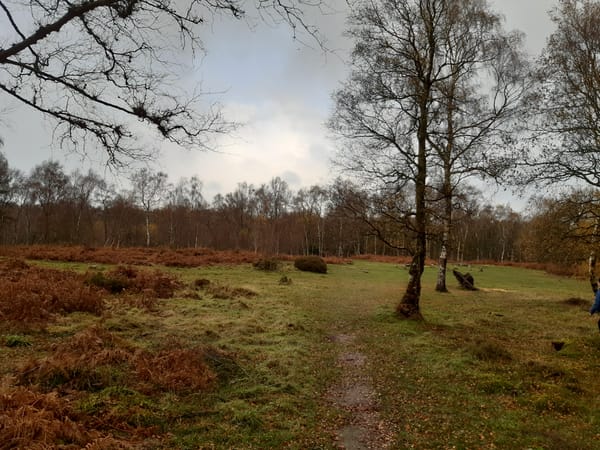 Well, here is a new thing